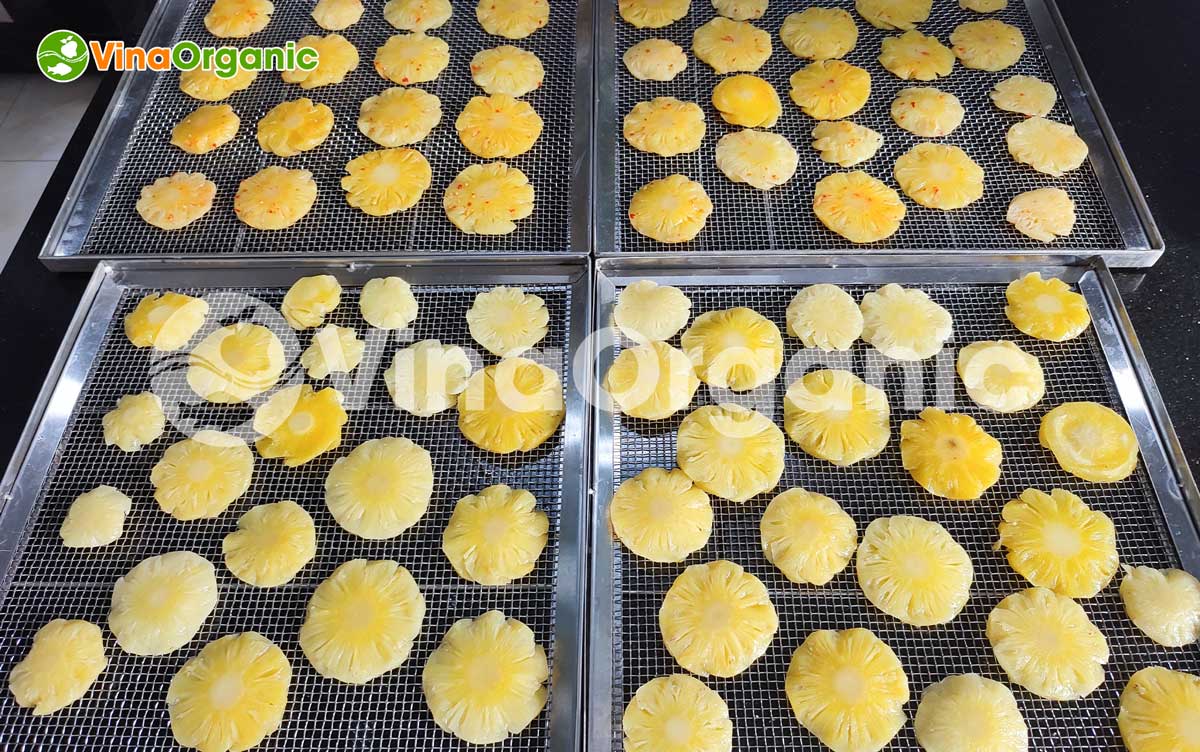 VinaOrganic cung cấp dây chuyền công nghệ sản xuất dứa sấy dẻo thơm ngon, chất lượng. Liên hệ Hotline 0938299798 - 0975299798.