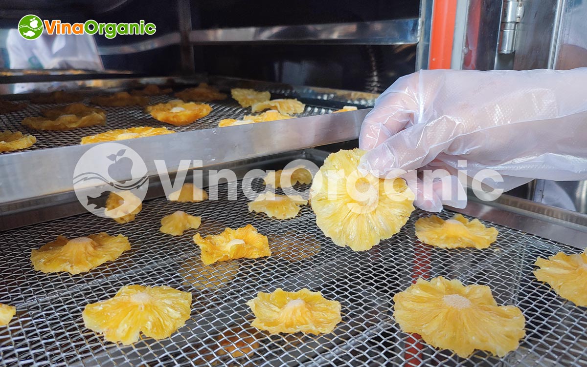 VinaOrganic cung cấp dây chuyền công nghệ sản xuất dứa sấy dẻo thơm ngon, chất lượng. Liên hệ Hotline 0938299798 - 0975299798.