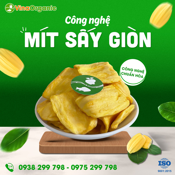 Chuyển giao công nghệ mít sấy giòn VinaOrganic