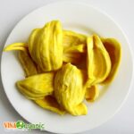 mit chien chan khong vinaorganic (2)