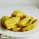 mit chien chan khong vinaorganic (4)