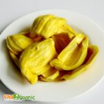 mit chien chan khong vinaorganic (5)