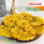 tu van va chuyen giao cong nghe thom say deo vinaorganic (11)