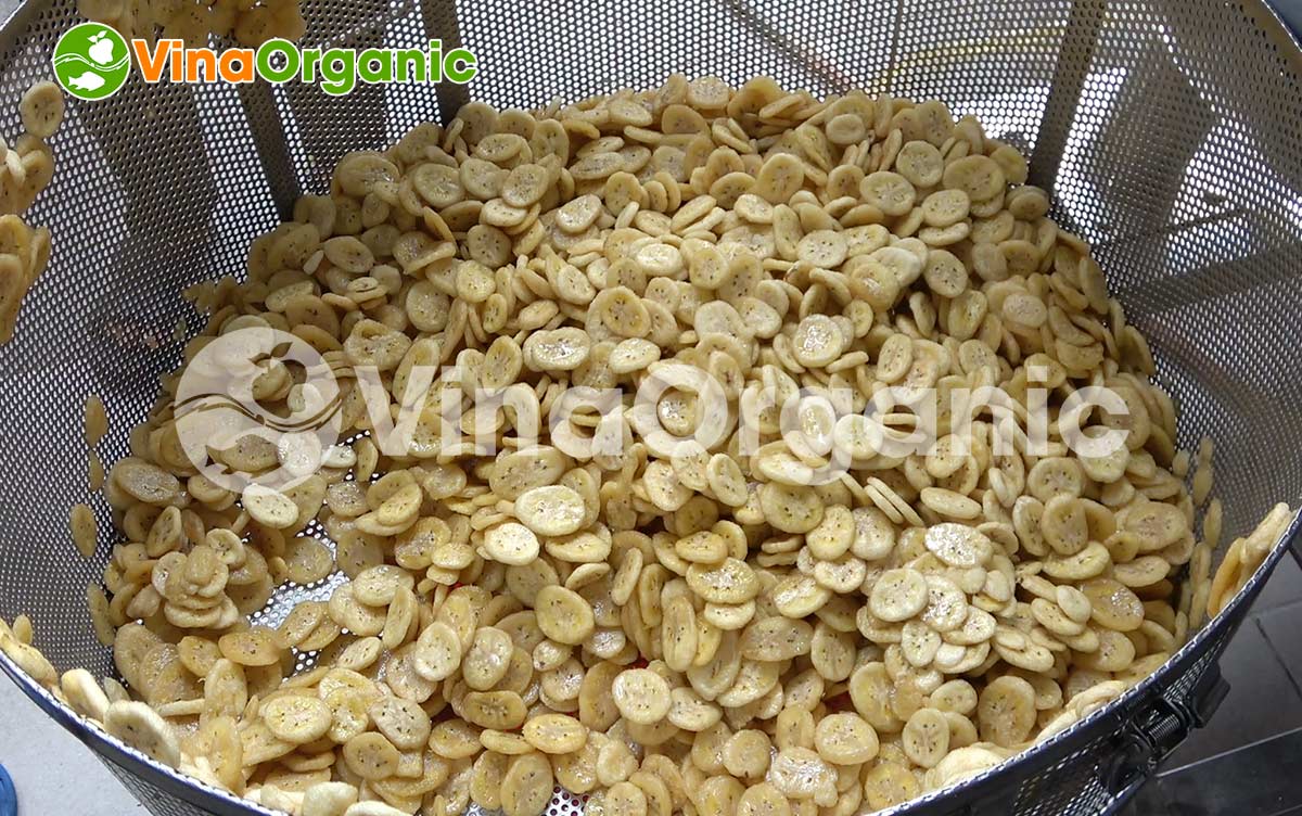 MC050 - Máy chiên chân không 50kg, chiên giòn đậu bắp, hạt sen, full inox 304, tiết kiệm điện. Liên hệ Hotline/Zalo 0938299798 - 0975299798 để được tư vấn!