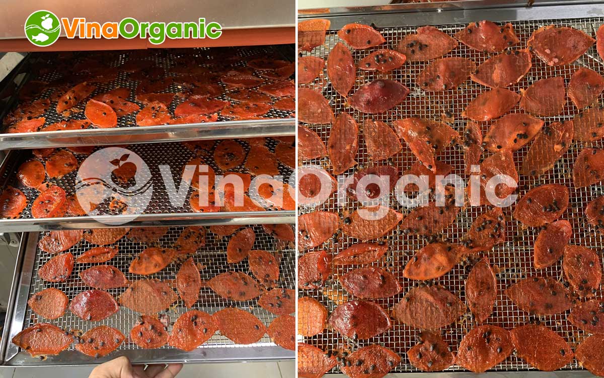 Máy sấy đối lưu 20 khay MS2044 của VinaOrganic, sấy được nhiều loại sản phẩm như: hoa quả, thủy sản.... Hotline/Zalo 0938.299.798 - 0975.299.798