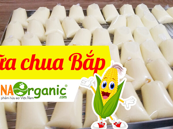 Tư vấn và chuyển giao công nghệ Sữa chua nhiều hương vị từ VinaOrganic