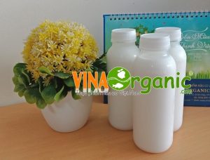 VinaOrganic chuyển giao Công nghệ Sữa mắc ca thanh trùng béo bùi, giàu dưỡng chất và không lắng cặn. Liên hệ 0975299798 - 0938299798 ngay!