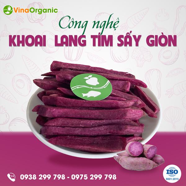 Chuyển giao công nghệ khoai lang tím sấy giòn (chiên chân không) VinaOrganic