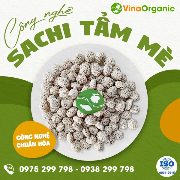 Chuyển giao công nghệ hạt sachi tẩm mè độc đáo, mới lạ
