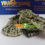 thanh long say gion vinaorganic (1)