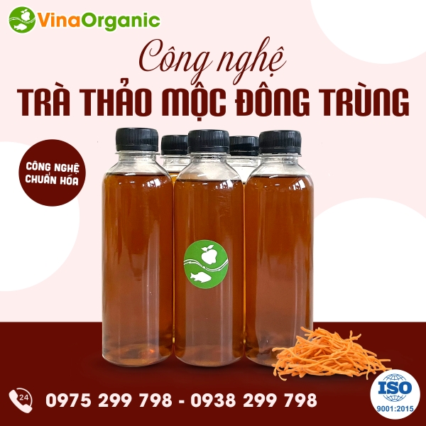 Chuyển giao công nghệ trà thảo mộc đông trùng hạ thảo bổ dưỡng