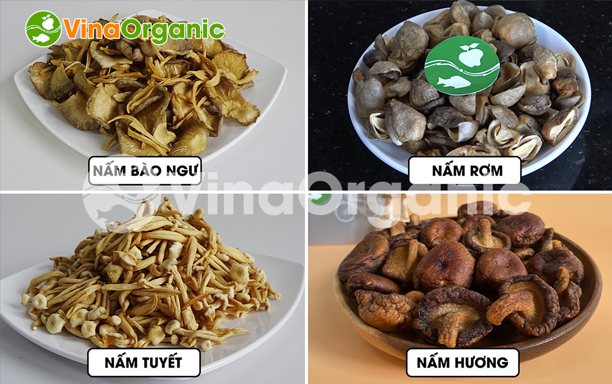 MC001 - Máy chiên chân không 1kg, chiên chuối, nấm giòn rụm, chiên đa năng. Liên hệ ngay số Hotline/Zalo: 0938299798 - 0975299798 để được tư vấn!