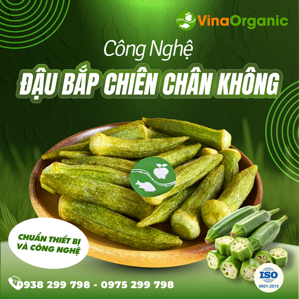 Chuyển giao công nghệ sản xuất đậu bắp sấy giòn VinaOrganic