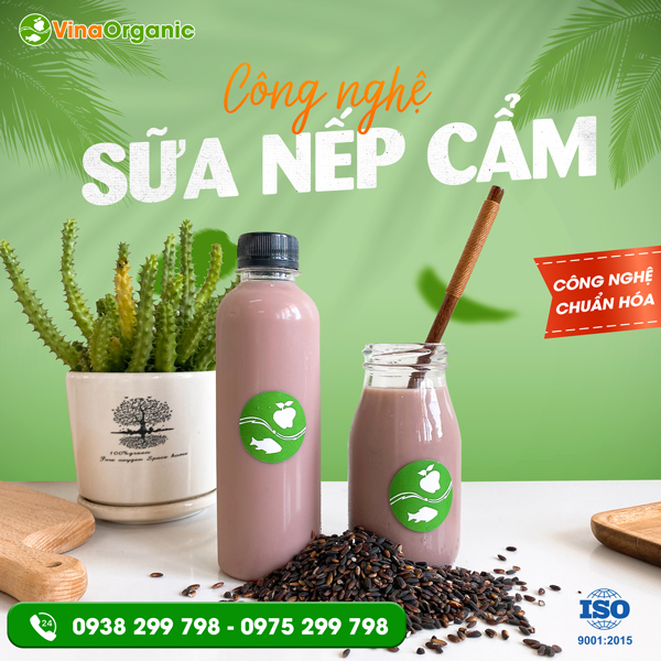 chuyen-giao-cong-nghe-sua-gao-nep-cam-vinaorganic-9