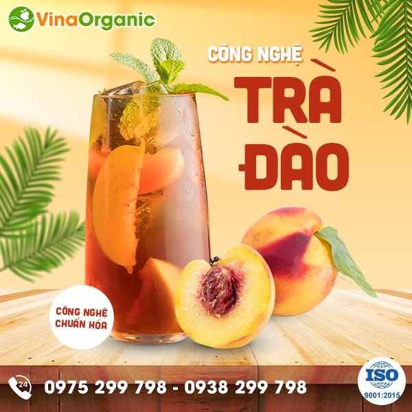 Chuyển giao công nghệ trà đào đóng chai thanh trùng tươi ngon, thanh mát