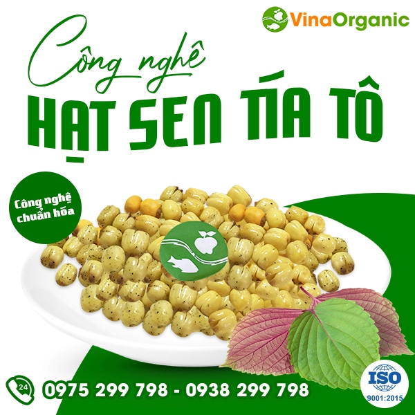 Chuyển giao công nghệ hạt sen tía tô (hạt sen sấy lá tía tô) ngọt thanh, thơm ngon