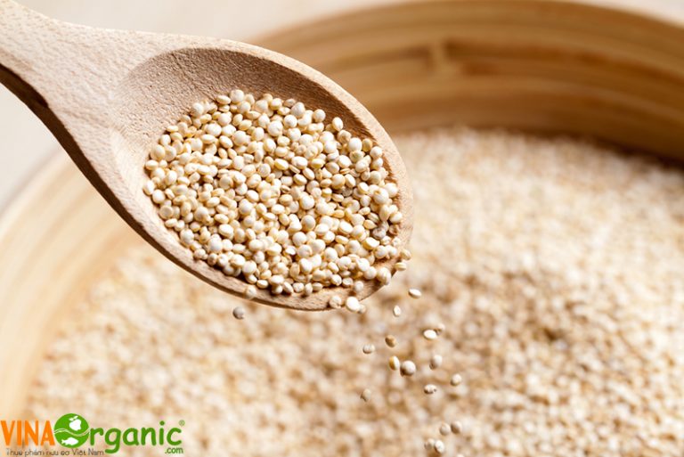 Hạt quinoa là gì? Tác dụng của hạt quinoa với sức khỏe?
