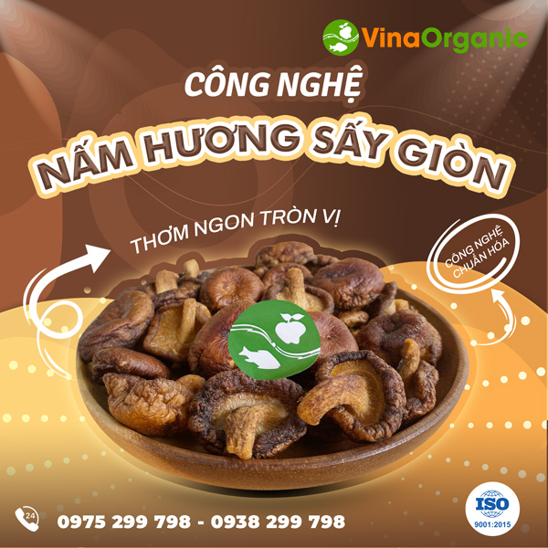Chuyển giao công nghệ sản xuất Nấm hương sấy VinaOrganic