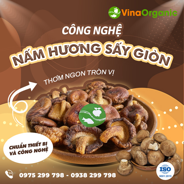 Chuyển giao công nghệ sản xuất Nấm hương sấy VinaOrganic