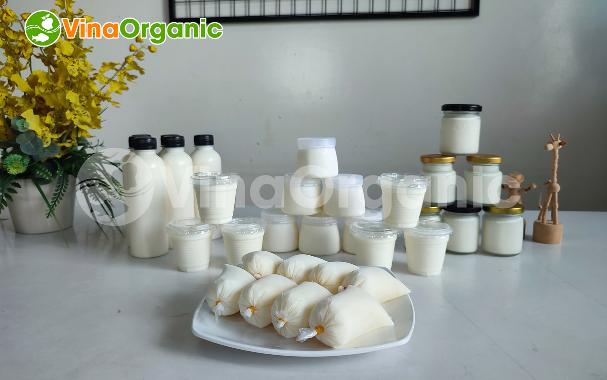 Máy nấu phối men sữa chua VYogurt 200L/mẻ VinaOrganic, Model VYM200 chất lượng cao, năng suất cao. Liên hệ Hotline/Zalo 0938299798 – 0975299798.