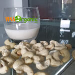 sua hat dieu vinaorganic