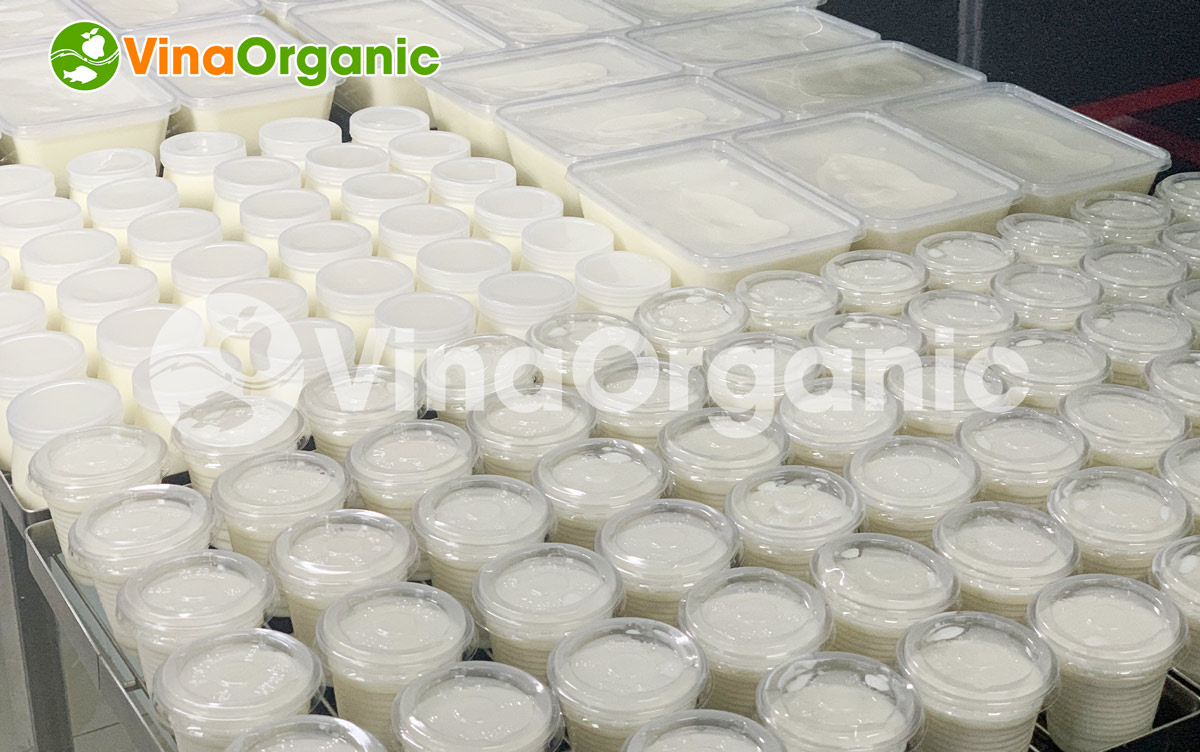 Máy nấu phối men sữa chua VYogurt 200L/mẻ VinaOrganic, Model VYM200 chất lượng cao, năng suất cao. Liên hệ Hotline/Zalo 0938299798 – 0975299798.