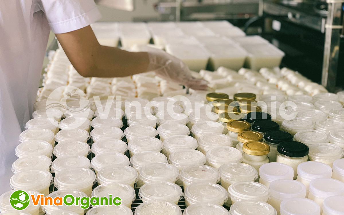 VinaOrganic cung cấp dịch vụ lắp đặt và chuyển giao công nghệ sữa chua nếp cẩm chất lượng. Liên hệ 0938299798 - 0975299798 để được tư vấn!