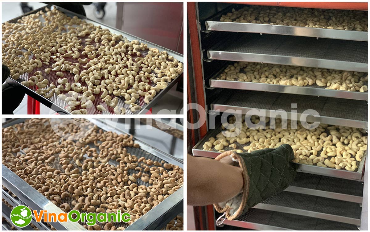 Máy sấy giòn ngũ cốc 10 khay MSC1046, sấy chín hạt điều, cốm gạo, granola,... mà không cần chiên qua dầu. LH: 0938.299798 - 0975.299798