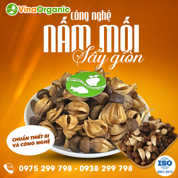Nấm mối sấy giòn, snack nấm mối VinaOrganic, sẵn sàng chuyển giao công nghệ