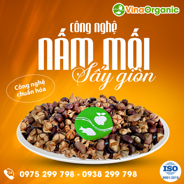 Nấm mối sấy giòn, snack nấm mối VinaOrganic, sẵn sàng chuyển giao công nghệ