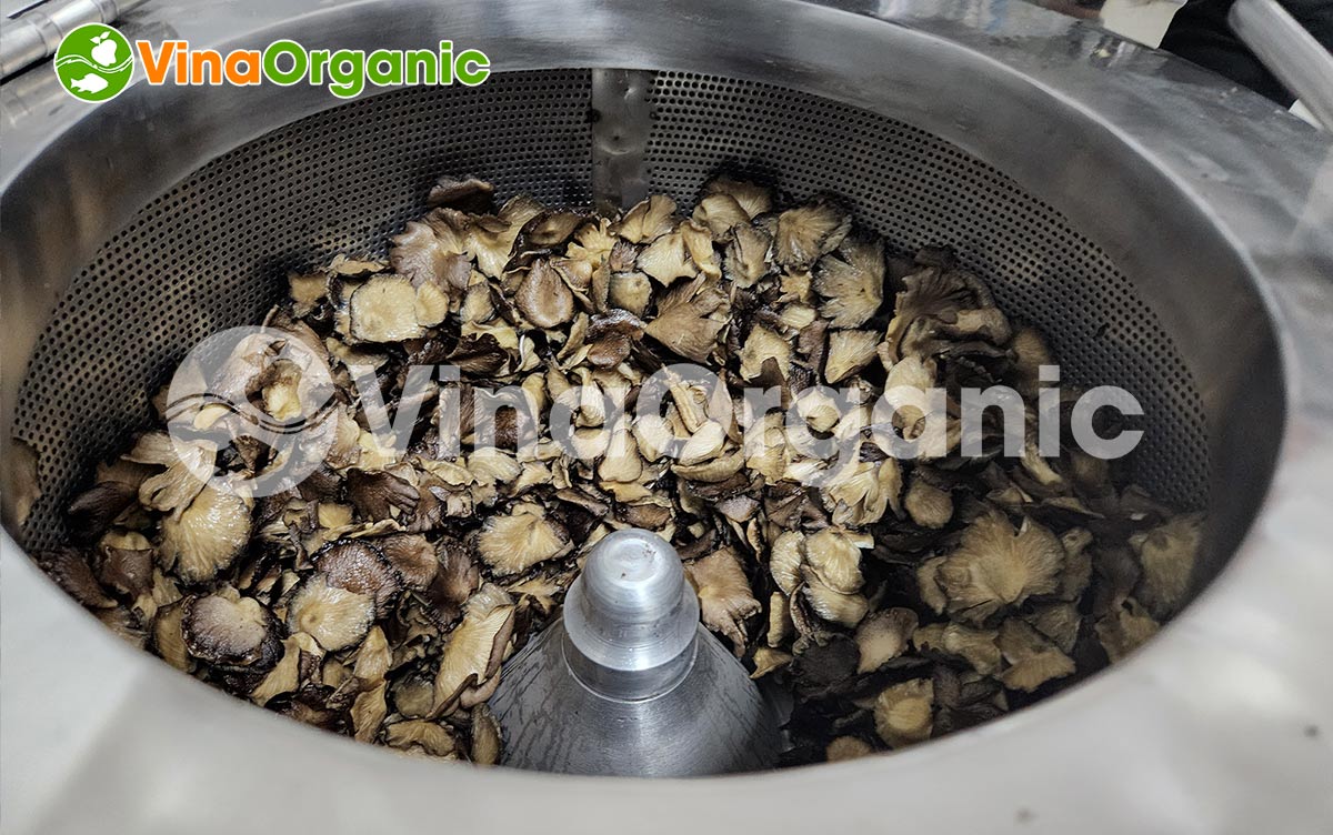 VinaOrganic cung cấp dây chuyền sản xuất snack nấm bào ngư chất lượng cao, inox 304. Liên hệ Hotline: 0975299798 - 0938299798.