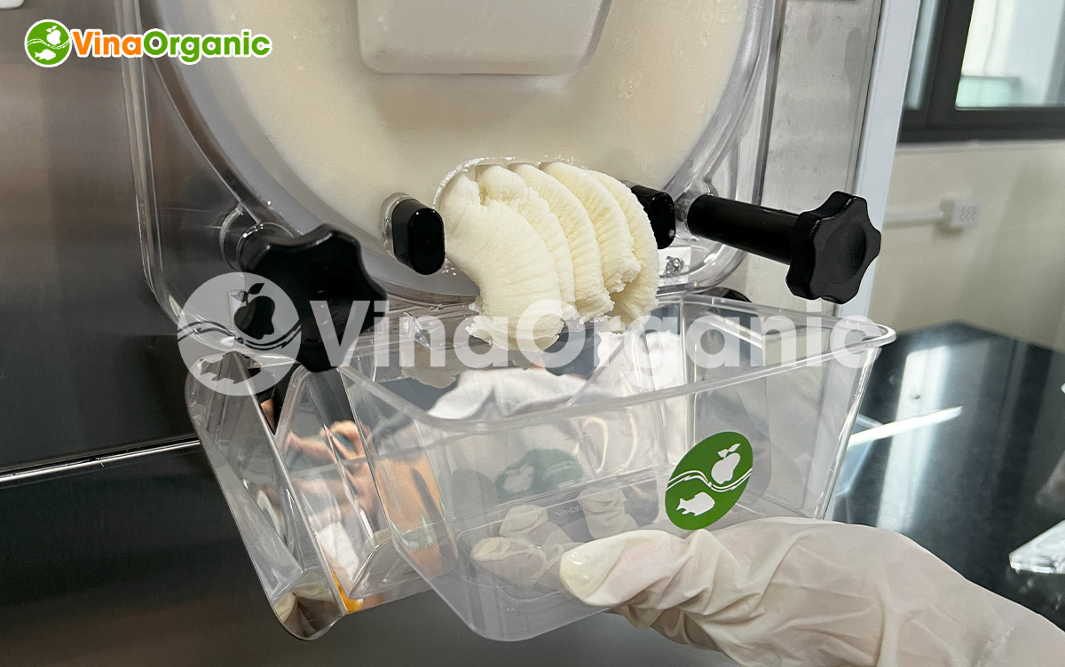 Công nghệ sản xuất Sữa chua Hạ Long mềm mịn, không dăm đá, chua ngọt béo hài hoà, thơm ngon. Liên hệ 0975299798 - 0938299798 ngay!