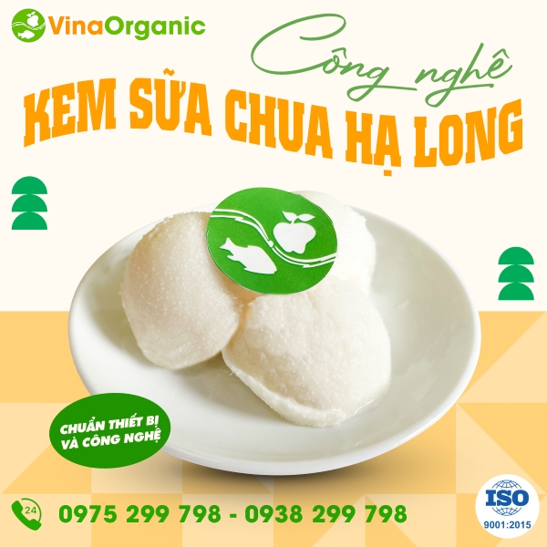 Chuyển giao công nghệ Sữa chua Hạ Long thơm béo, không đăm đá