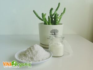VinaOrganic chuyển giao công nghệ sản xuất bột dừa sấy khô, mềm mịn, giữ được màu sắc tự nhiên của dừa. Liên hệ ngay Hotline Zalo 0938299798 – 0975299798.