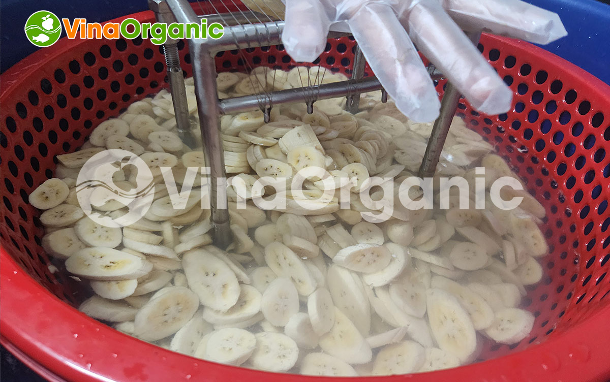 VinaOrganic xin giới thiệu dây chuyền sản xuất chuối sấy giòn từ quy mô gia đình đến công nghiệp. Hotline 0938299798 – 0975299798