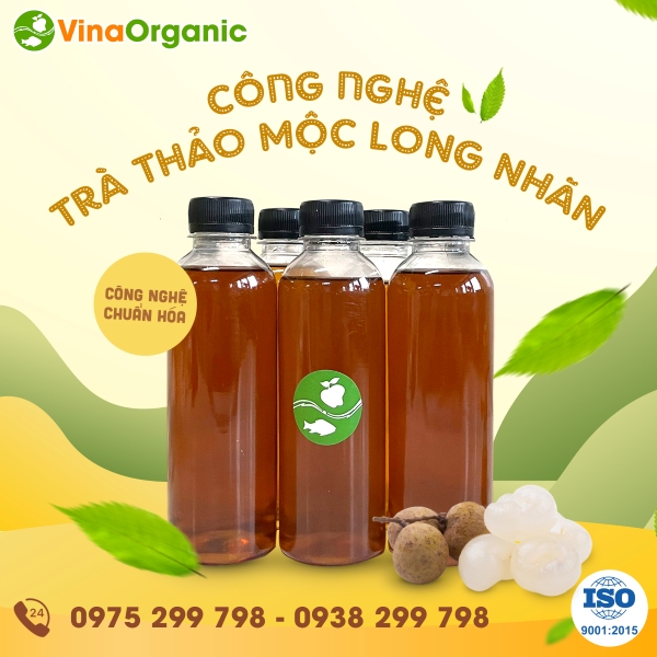 Chuyển giao công nghệ trà thảo mộc hoa cúc long nhãn thanh mát, giải nhiệt