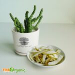 vo buoi say deo vinaorganic (1)