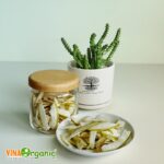 vo buoi say deo vinaorganic (10)