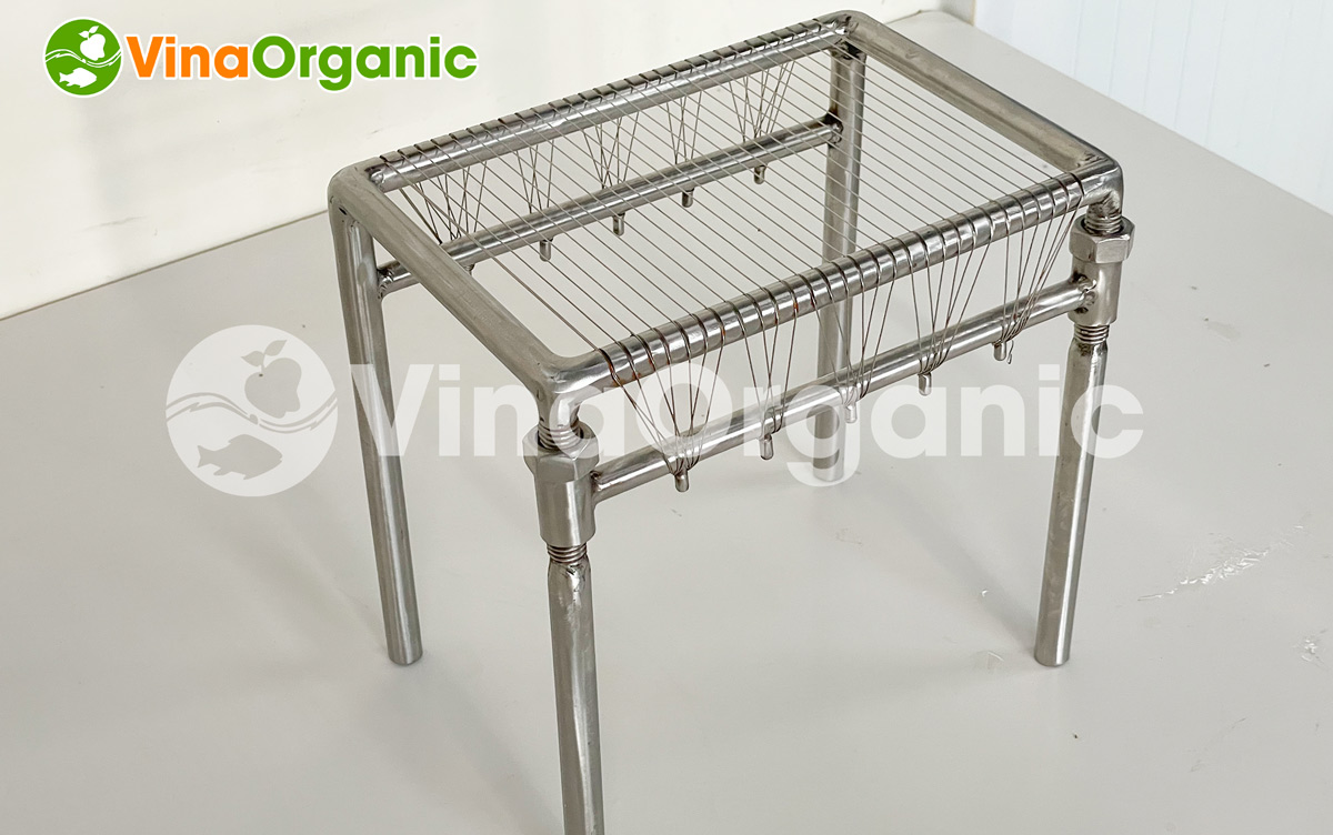 Dao cắt chuối model DCC của VinaOrganic. Được làm từ inox 304 bền, vững chắc, chịu lực,..Hotline 0938.299.798 - 0975.299.798.