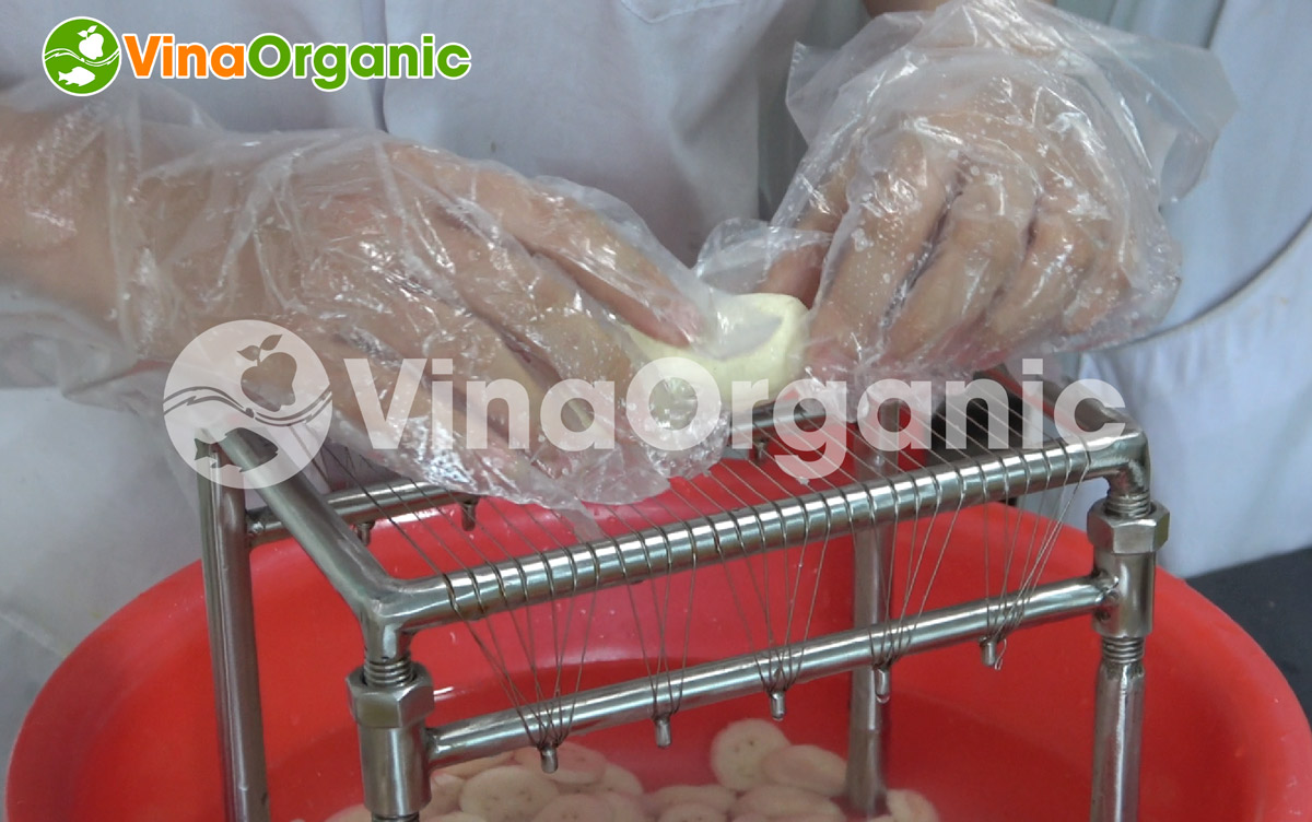 Dao cắt chuối model DCC của VinaOrganic. Được làm từ inox 304 bền, vững chắc, chịu lực,..Hotline 0938.299.798 - 0975.299.798.
