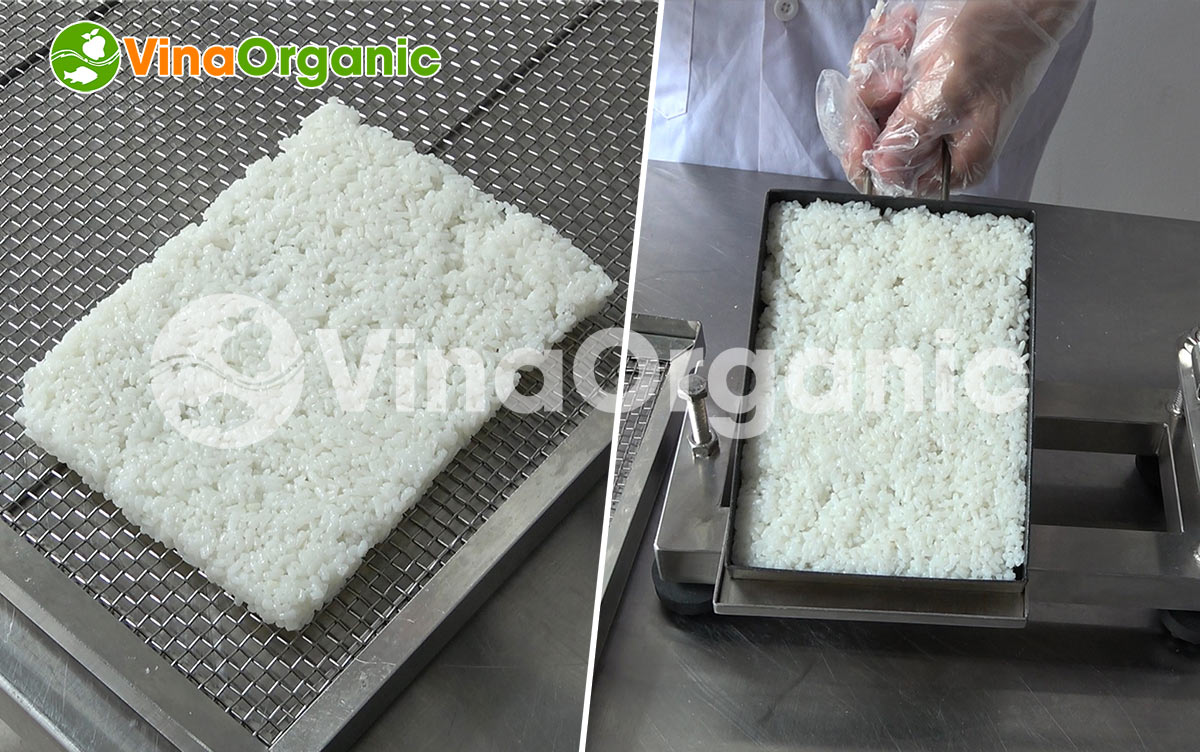 VinaOrganic xin giới thiệu khuôn ép cơm cháy chà bông cầm tay dễ sử dụng, tiện lợi. Hotline 0938.299.798 - 0975.299.798 - 0948.299.798