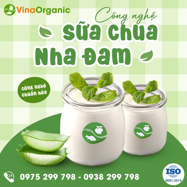 Chuyển giao công nghệ sữa chua nha đam hảo hạng