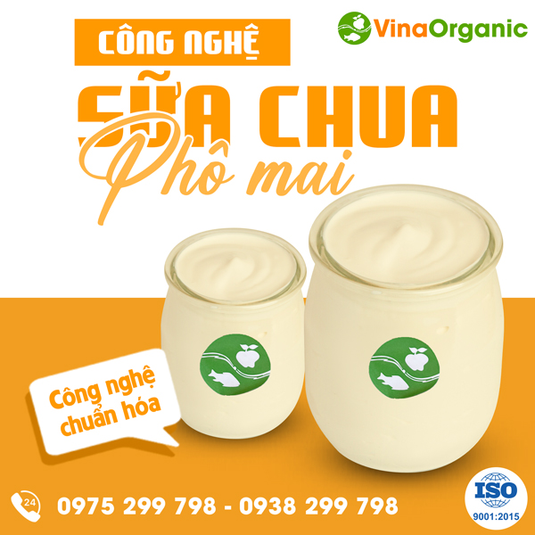 Sữa chua phô mai - Công nghệ sữa chua dẻo mịn từ VinaOrganic