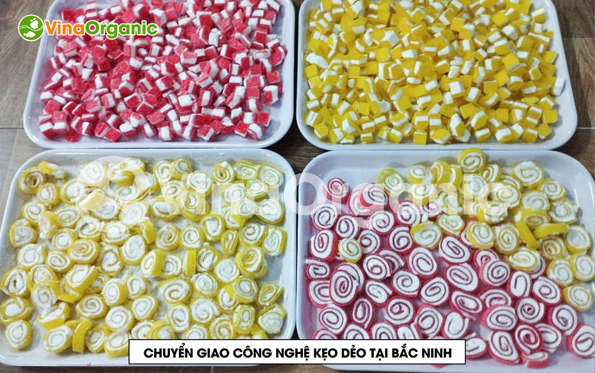 VinaOrganic cung cấp máy thiết bị và chuyển giao công nghệ kẹo dẻo xoắn khoanh sắc màu. Liên hệ ngay Hotline/Zalo: 0938299798 – 0975299798.