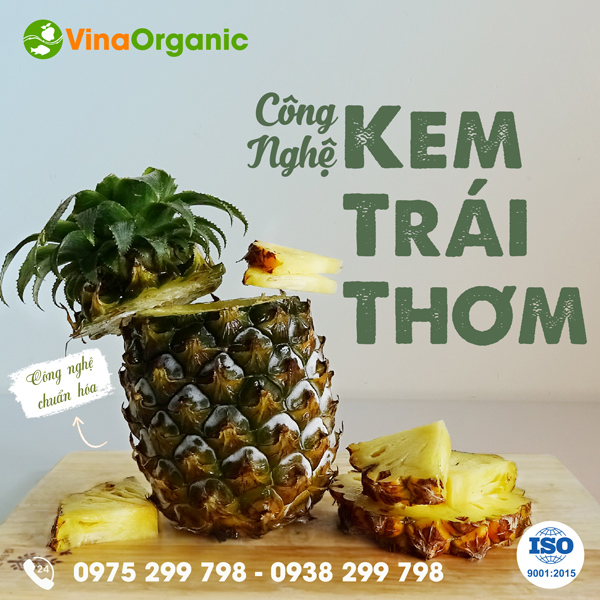 Chuyển giao công nghệ Kem trái thơm hương vị độc đáo, thanh mát