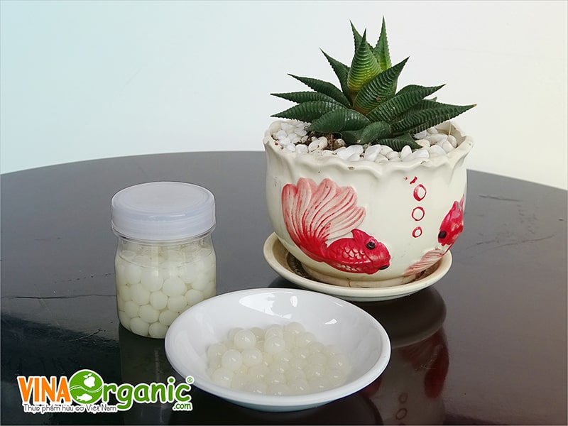 VinaOrganic cung cấp máy thiết bị và chuyển giao công nghệ sản xuất hạt trân châu thủy tinh. Hotline 0938299798 - 0975299798 - 0948299798