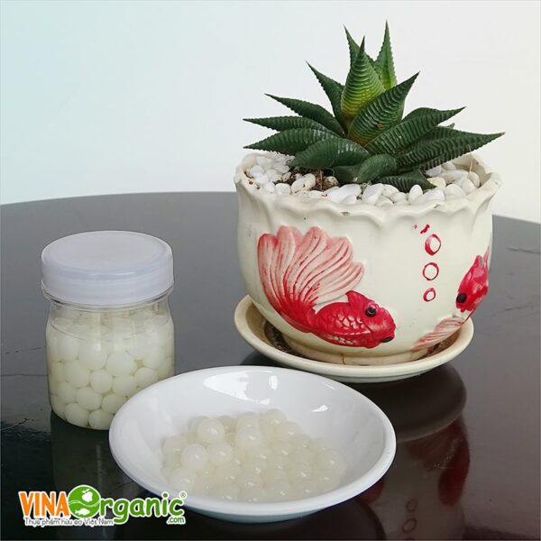 Hạt trân châu thủy tinh - Công nghệ áp dụng kỹ thuật Spherification mới