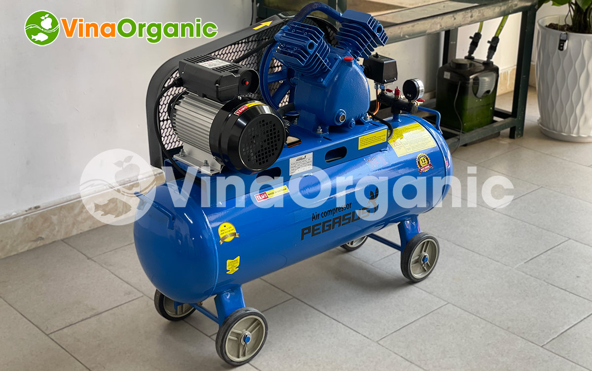 VinaOrganic cung cấp dây chuyền sản xuất muối ớt xanh 5kg/ mẻ đảm bảo chất lượng. Liên hệ Hotline: 0975299798 - 0938299798