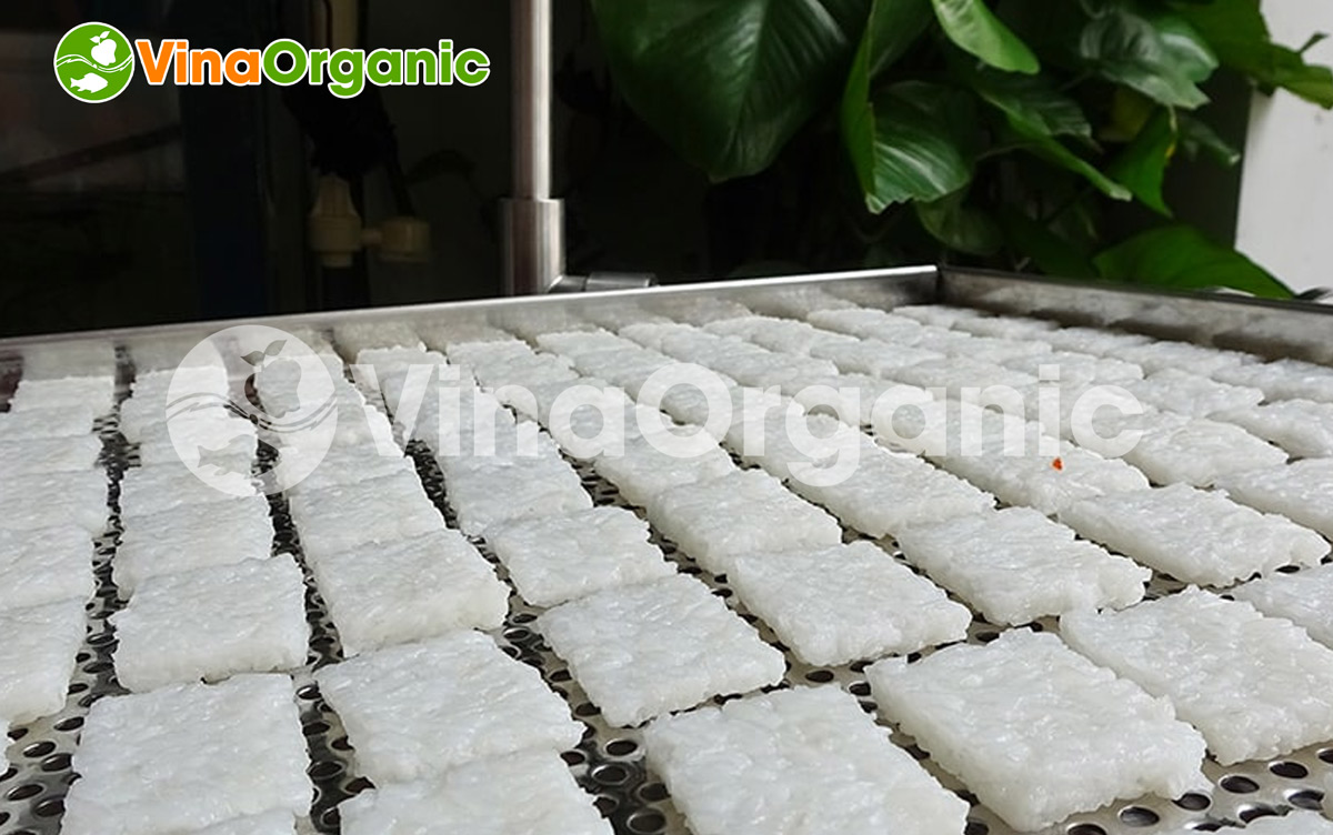 VinaOrganic cung cấp dây chuyền máy thiết bị và chuyển giao công nghệ sản xuất cơm cháy chà bông. Hotline 0938299798 0975299798 0948299798