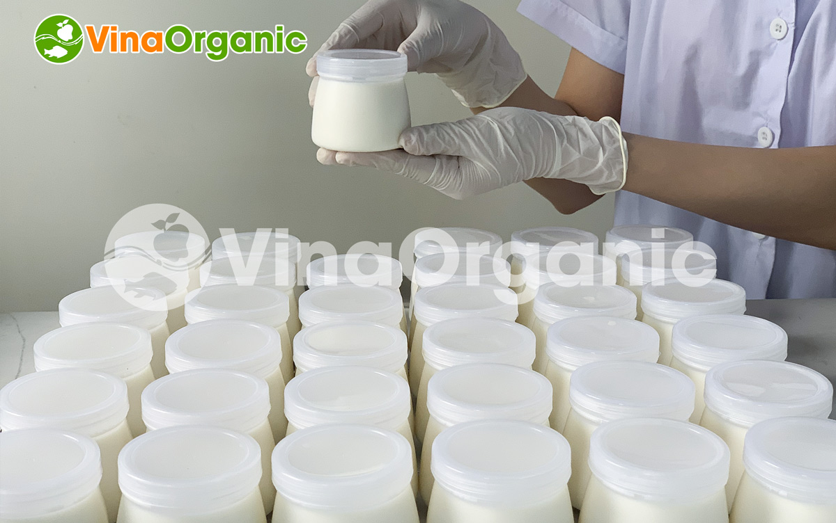 Máy nấu phối men sữa chua VYogurt 300L/mẻ VinaOrganic, Model VYM300 chất lượng cao, năng suất cao. Liên hệ Hotline/Zalo 0938299798 – 0975299798.